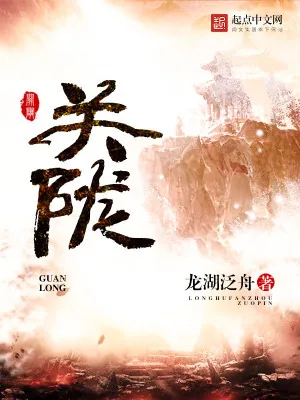 《关陇》小说封面