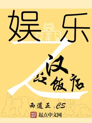 《娱乐之汉江饭店》小说封面