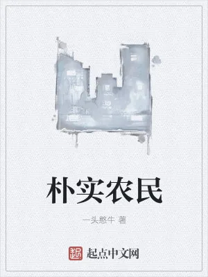 《朴实农民》小说封面