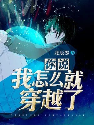 《你说我怎么就穿越了》小说封面