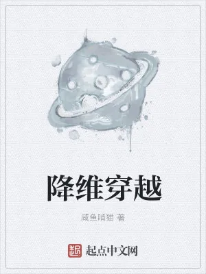 《降维穿越》小说封面