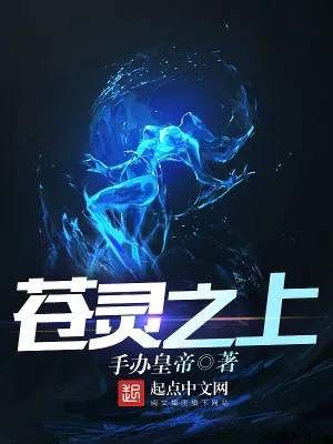 《苍灵之上》小说封面