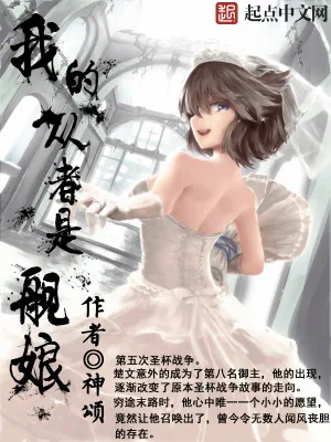 《我的从者是舰娘》小说封面