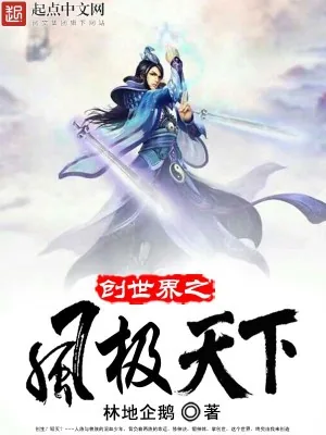 《风极苍穹》小说封面