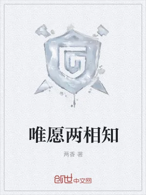 《唯愿两相知》小说封面