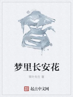 《梦里长安花》小说封面