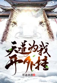 《天道为我开外挂》小说封面