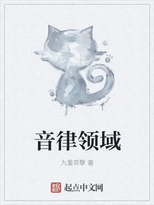 《音律领域》小说封面