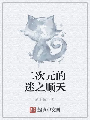 《二次元的迷之顺天》小说封面