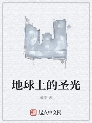 《地球上的圣光》小说封面