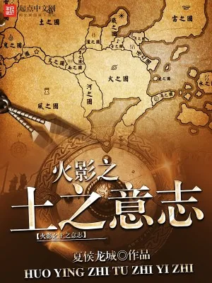 《岩忍者日志》小说封面