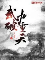 《武破九重天》小说封面