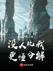 《没人比我更懂分解》小说封面