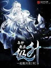 《每秒都在升级》小说封面