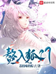 《赘入狐门》小说封面