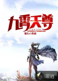 《九霄天尊》小说封面