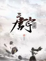 《唐宇若莹》小说封面