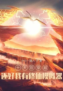 《十天后穿越:还好我有修仙模拟器》小说封面