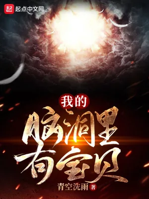 《我的脑洞里有宝贝》小说封面
