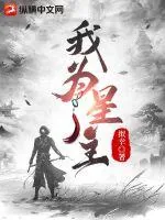 《我为星主》小说封面