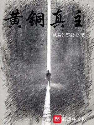 《黄铜真主》小说封面