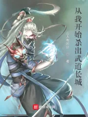《从我开始杀出武道长城》小说封面