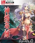 《神级英雄》小说封面