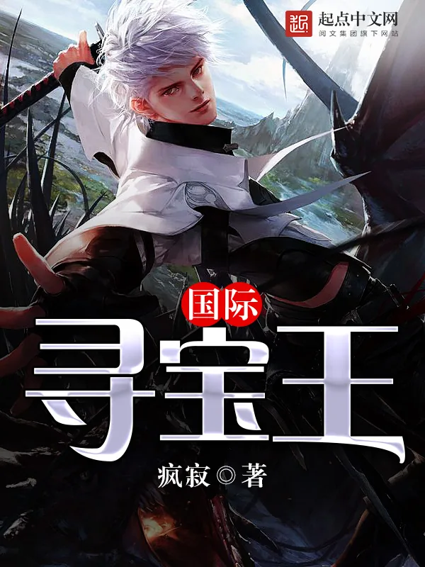 《国际寻宝王》小说封面