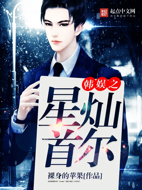 《韩娱之星灿首尔》小说封面
