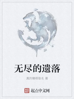 《无尽的遗落》小说封面