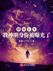 《模拟人生：我神明身份被曝光了》小说封面