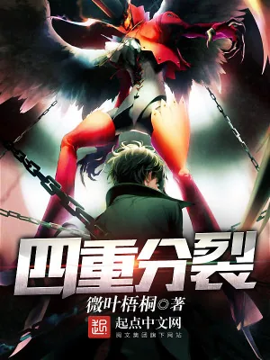 《四重分裂》小说封面