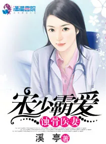 《宋少霸爱蚀骨医妻》小说封面