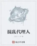 《混乱代理人》小说封面