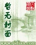 《星源掌控者》小说封面