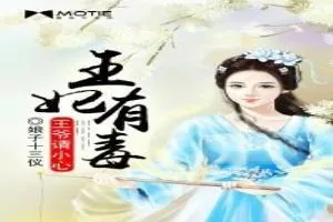 《王妃有毒：王爷请小心》小说封面