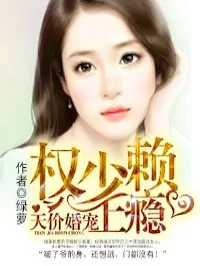 《天价婚宠》小说封面