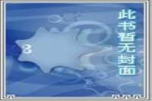 《杀阵天下》小说封面