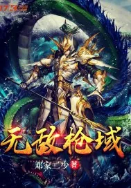 《无敌枪域》小说封面