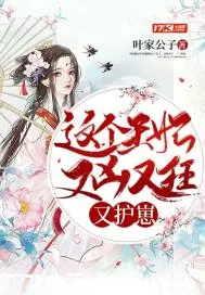 《这个王妃又凶又狂又护崽》小说封面