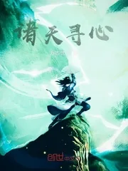 《诸天寻心》小说封面
