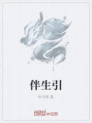 《伴生引》小说封面
