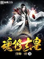 《魂修玄皇》小说封面