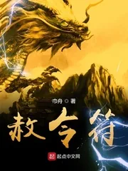 《赦令符》小说封面