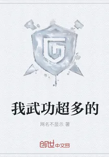 《我武功超多的》小说封面