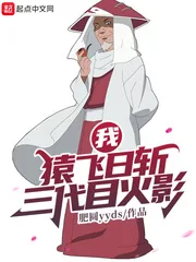《我,猿飞日斩!三代目火影》小说封面