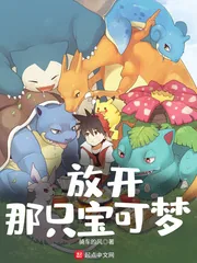《放开那只宝可梦》小说封面