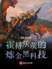 《霍格沃茨的炼金黑科技》小说封面