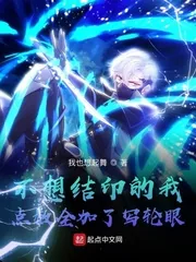 《不想结印的我点数全加了写轮眼》小说封面