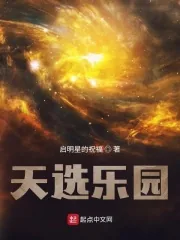 《天选乐园》小说封面